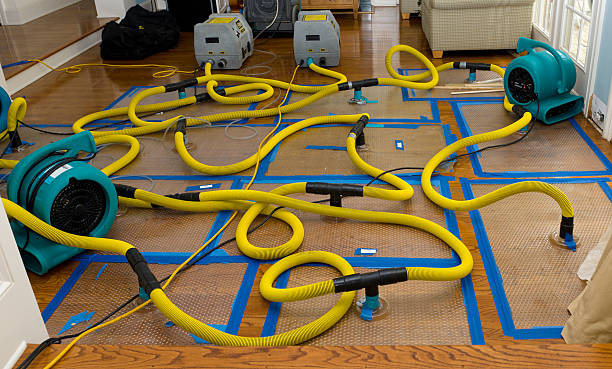 Professional Sewage Cleanup technician working in Dansville, NY